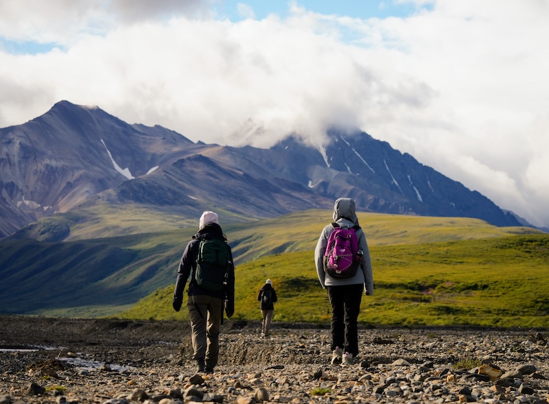 Denali Trail